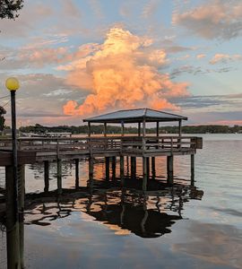 Tarpon Turtle Waterfront Grill & Marina photo 43