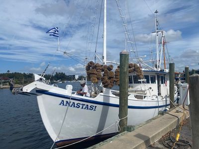 Dimitri’s on the Water- Tarpon Springs, Florida photo 10