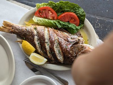 Dimitri’s on the Water- Tarpon Springs, Florida photo 37