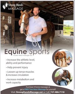 Strong Hands Massage photo 11