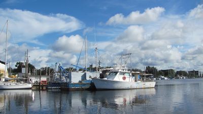 Tarpon Springs Yacht Club photo 7