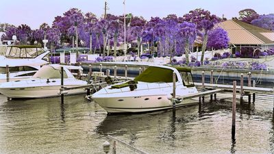 Tarpon Springs Yacht Club photo 12