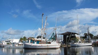Tarpon Springs Yacht Club photo 14