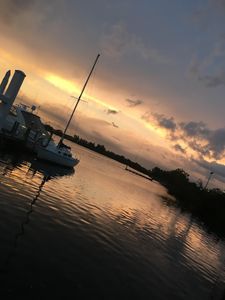 Tarpon Springs Yacht Club photo 15