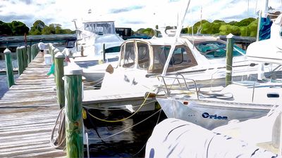 Tarpon Springs Yacht Club photo 18