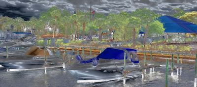 Tarpon Springs Yacht Club photo 28