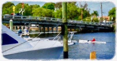 Tarpon Springs Yacht Club photo 29