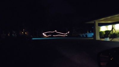 Tarpon Springs Yacht Club photo 50