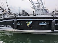Mobile Boat Mechanic Cape Coral