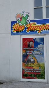 Leo Tampa Pet Shop .